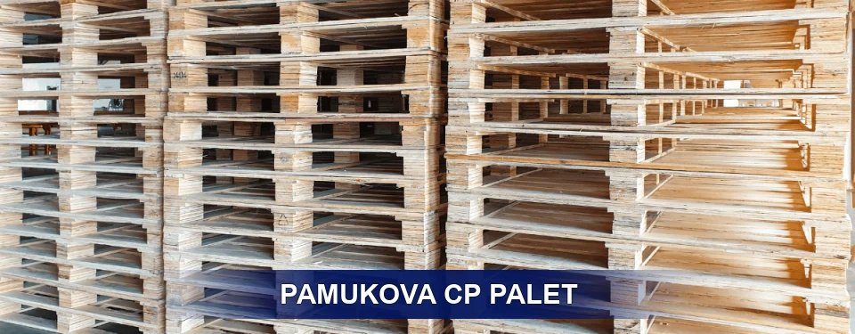 Pamukova Standart Tipler