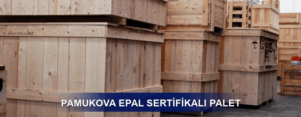 Pamukova Fiyatlandırma