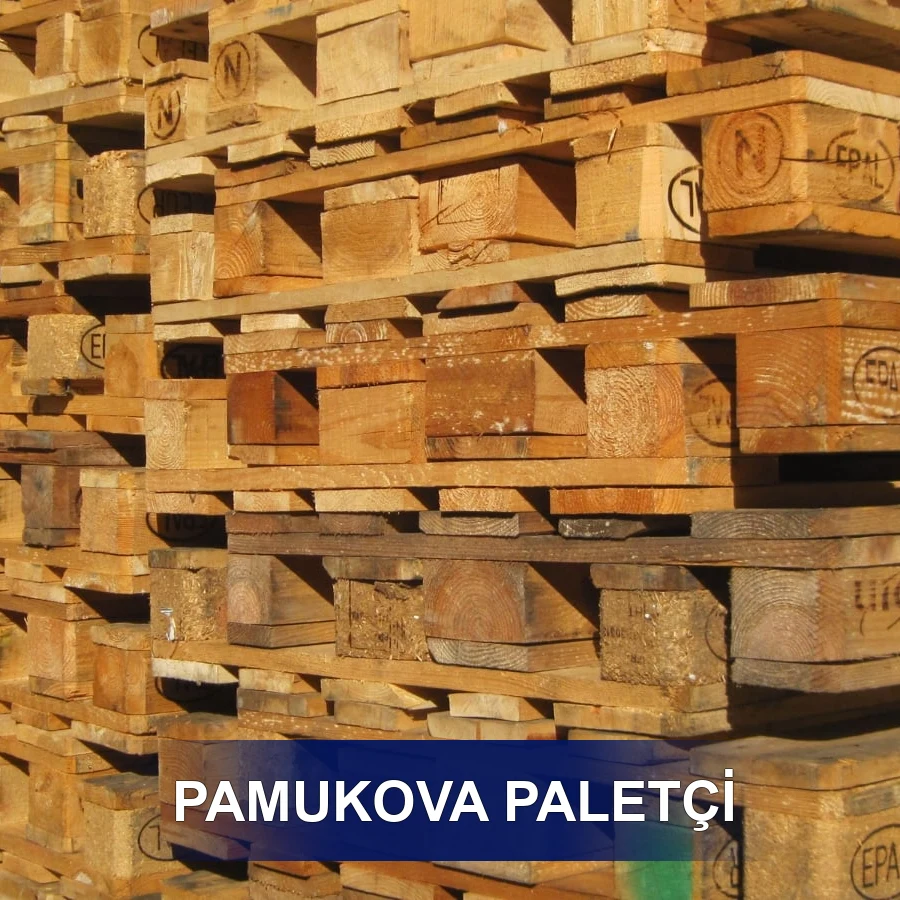 Pamukova Paletçi