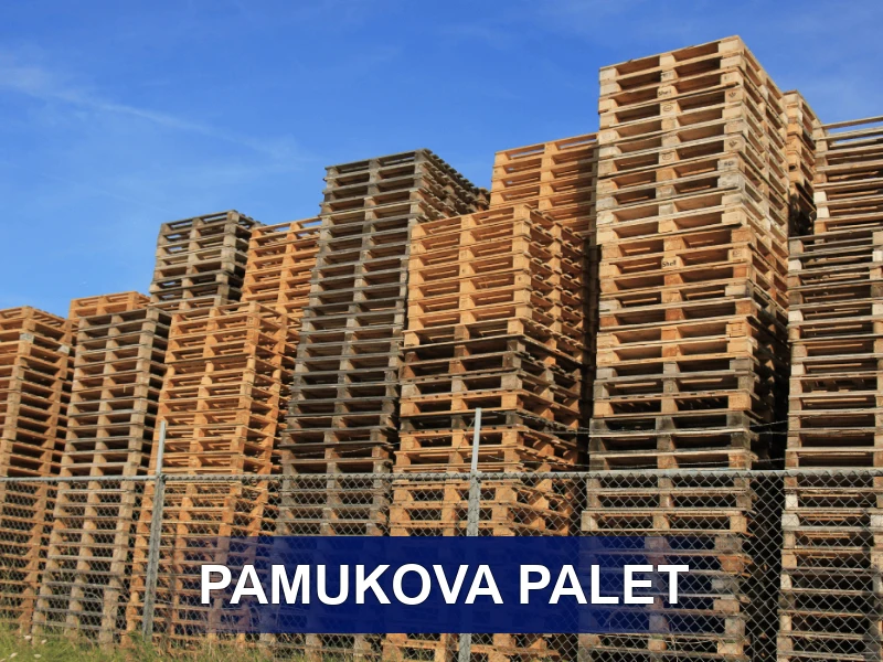 Pamukova Palet Galeri 2