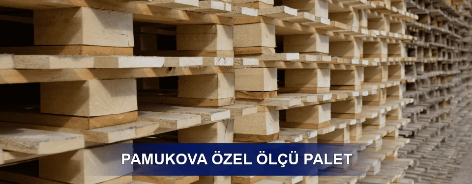 Pamukova Yük Kapasitesi