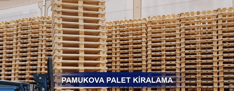 Pamukova Uzun Dönem